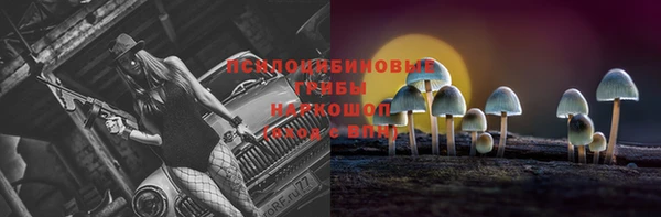 гидропоника Бугульма