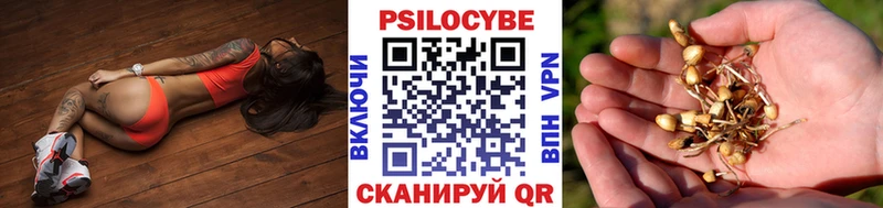 цены   Армавир  площадка клад  Псилоцибиновые грибы GOLDEN TEACHER 